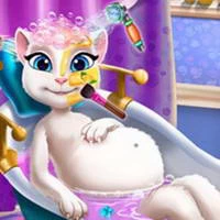 pregnant_kitty_spa Games