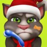 Talking Tom Injfdfury